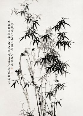 Chinese bamboo