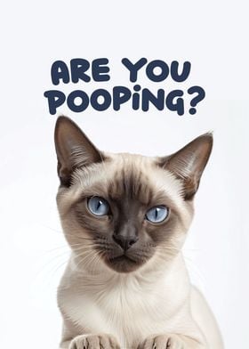 Funny cat toilet 