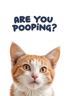 Funny cat toilet 