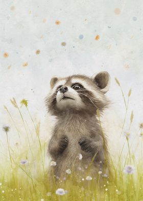 Cute little raccoon