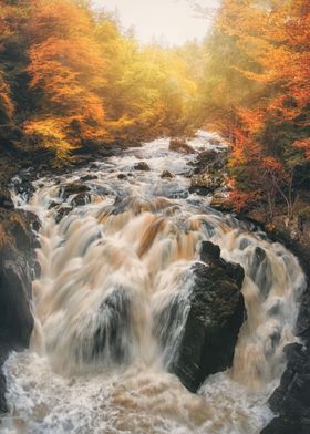 Black Linn Falls Hermitage