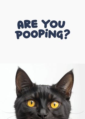 Funny cat toilet 