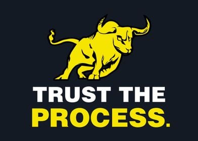 Bull Trader Trust Process