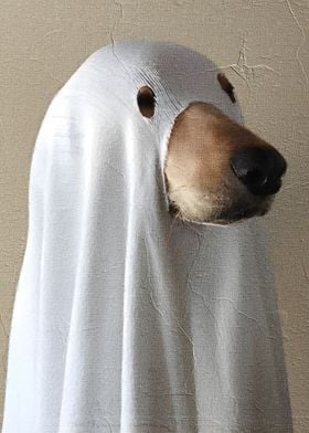 Ghost Dog Meme