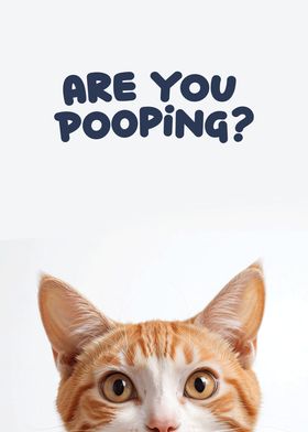 Funny cat toilet 