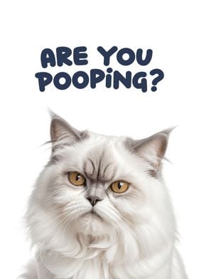 Funny cat toilet 