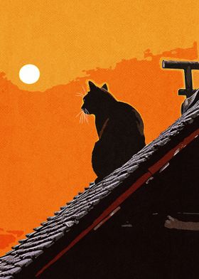 Black cat on the roof