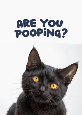 Funny cat toilet 