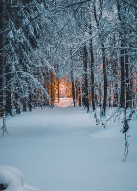 Winters Warmth Gateway