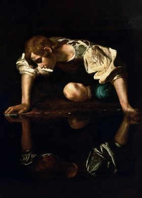 Narcissus