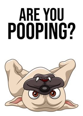 Funny Dog Are You Pooping