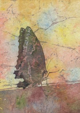 Watercolor butterfly batik