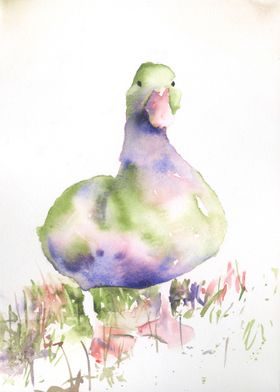 Watercolor painting duck