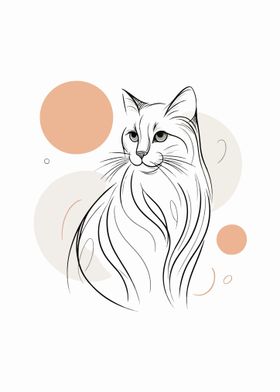 Graceful Cat Abstraction