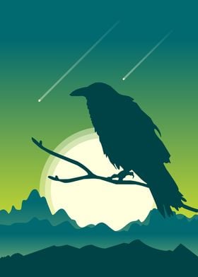 Crow Illustration