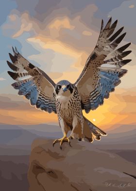 The majestic Saker Falcon 