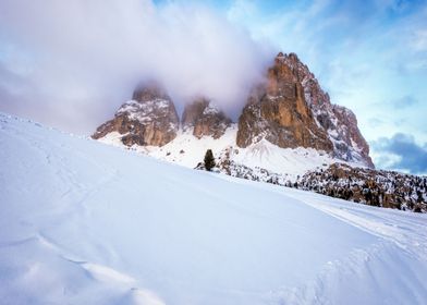 After the Snowstorm