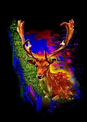 Deer Animals 9