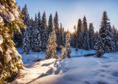 A sunny alpine winter day