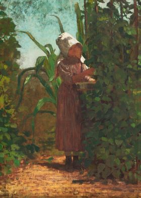 The Bean Picker