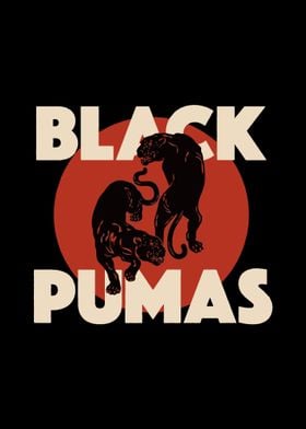 Black Pumas