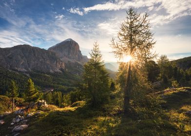 Golden Mountain Morning