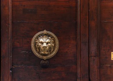The Lion door