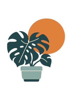 Monstera Delight Sunset