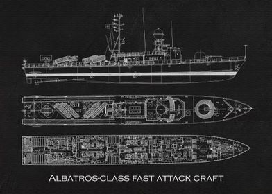 Albatrosclass fast attack