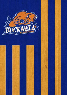 Bucknell Bison Flag