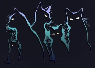 The Cats Shadows 