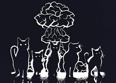 The Cats Shadows 