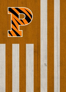 Princeton Tigers Flag