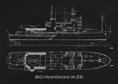 BIO Hesperides A33