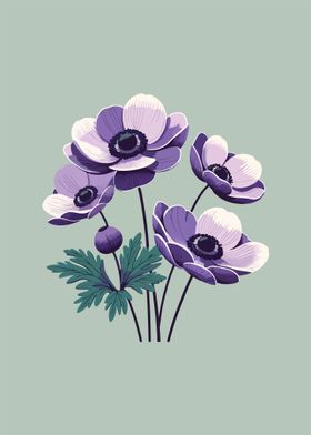Lavender Anemones