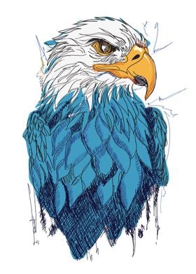 eagle head poster 