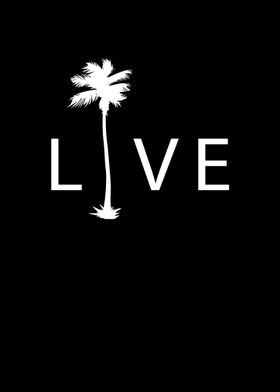 Live Palm Tree Picture