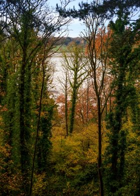 Window to River