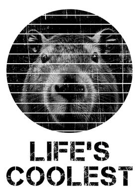 Capybara Lifes Coolest