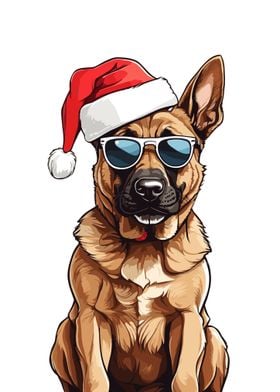 Christmas Malinois