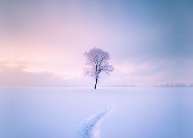 Cozy Winter tree
