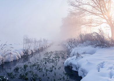 Winter landscape by river