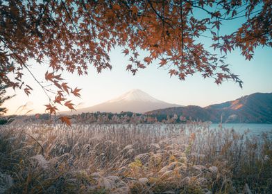 Mt Fuji and the Lake