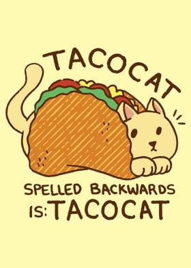 Tacocat 