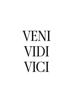 Vini Vidi Vici