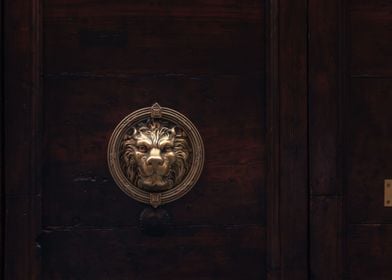 The golden lion door