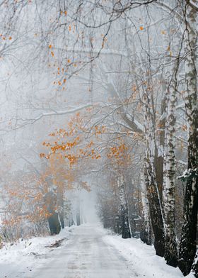 Winter landscape with road