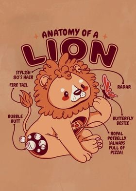 Lion Anatomy