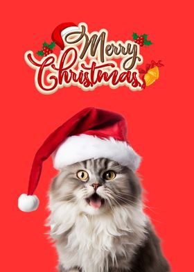 Santa Cat Christmas 