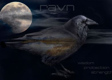 RAVN